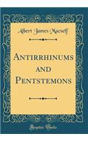 Antirrhinums and Pentstemons (Classic Reprint)