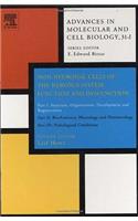 Non-Neuronal Cells of the Nervous System: Function and Dysfunction: Volume 31 Part I: Structure, Organization, Development and Regeneration: Part II: Biochemistry, Physiology and Pharmacology: Part III: Pathological (Volume 31 Advances in Molecular & Cell Biology)
