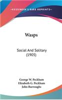 Wasps