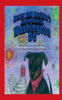 Henry and Matilda's Adventure in Washington D.C.