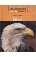 Living Things: Bird