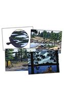 Northwoods Leave Only Ripples: A Canoe Country Sketchbook