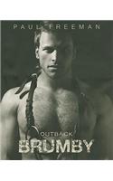 Outback Brumby