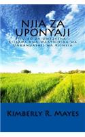 Njia Za Uponyaji