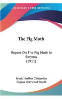 Fig Moth