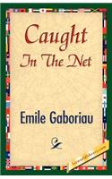 Caught in the Net