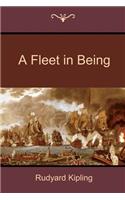 A Fleet in Being