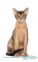 Abyssinian Cat Affirmations Workbook Abyssinian Cat Presents