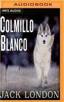 Colmillo Blanco