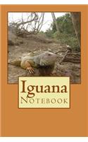Iguana