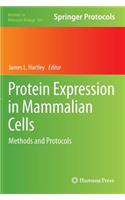 Protein Expression in Mammalian Cells