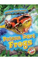 Poison Dart Frogs: (Animals of the Rain Forest)