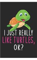 I Just Really Like Turtles Ok?