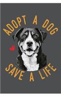 Adopt A Dog Save A Life