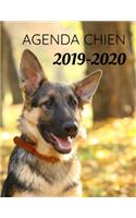 Agenda Chien 2019-2020