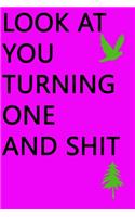Look at You Turning One and Shit Notebook Birthday Gift: Lined Notebook/ Journal Gifts,120 pages, 6×9, Soft Cover, Matte Finish