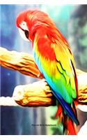 Parrot Bird Notebook