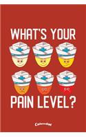 My Pain Level Calendar: Calendar, Diary or Journal Gift for Nurses, Caregivers and Chronic Pain Patients with 108 Pages, 6 x 9 Inches, Cream Paper, Glossy Finished Soft Cov
