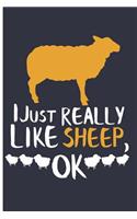 I Just Really Like Sheep, Ok