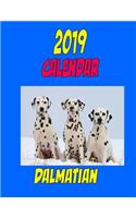2019 Calendar Dalmatian