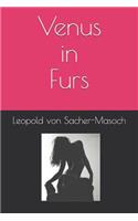 Venus in Furs