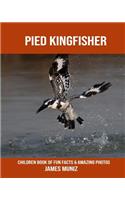 Pied Kingfisher: Children Book of Fun Facts & Amazing Photos