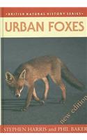 Urban Foxes
