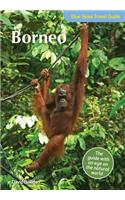 Blue Skies Travel Guide: Borneo