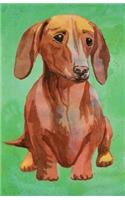 Journal Notebook For Dog Lovers Dachshund: Lined and Numbered Pages With Index Blank Journal For Journaling, Writing, Planning and Doodling.(31 Lined Journal Notebook)