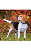 Beagles 2020 Square Foil