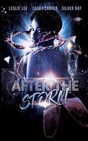 After the Storm