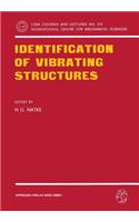 Identification of Vibrating Structures