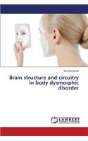 Brain structure and circuitry in body dysmorphic disorder