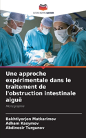approche expérimentale dans le traitement de l'obstruction intestinale aiguë