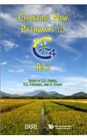 Charting New Pathways To C4 Rice
