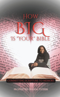 How Big Is Your Bible