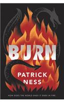 Burn