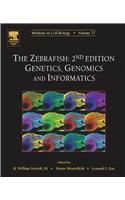 The Zebrafish