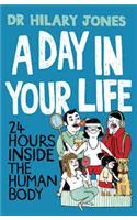 A Day in Your Life: 24 Hours Inside the Human Body