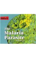 Malaria Parasite