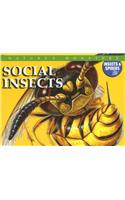 Social Insects