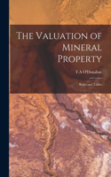 The Valuation of Mineral Property