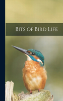 Bits of Bird Life