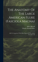 The Anatomy Of The Large American Fluke (fasciola Magna)