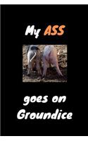 My ass goes on groundice