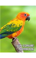 Sun Conure Notebook