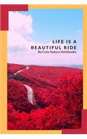 Life Is A Beautiful Ride
