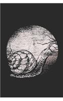 Snail Moon