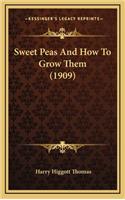 Sweet Peas And How To Grow Them (1909)
