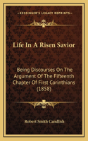 Life in a Risen Savior